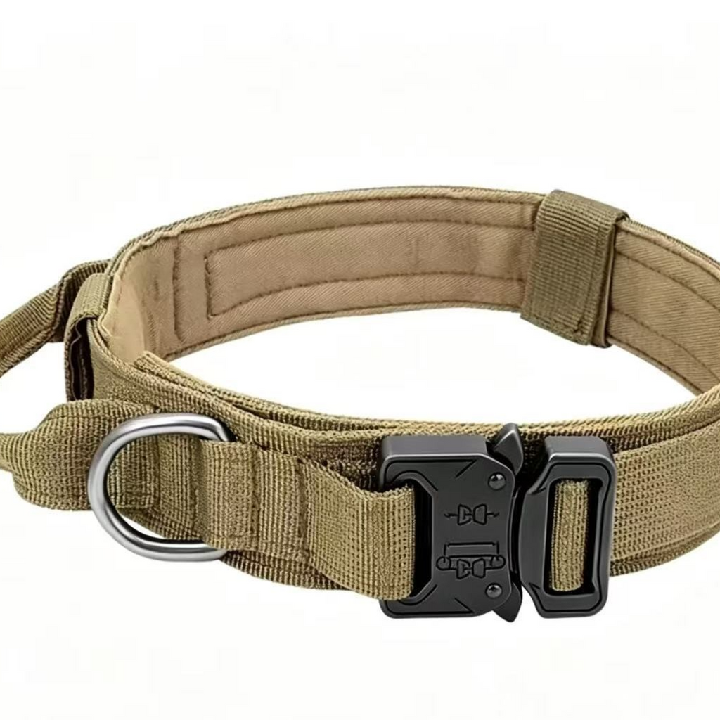 MBL TACTICAL DOG SET ? Collar + Correa