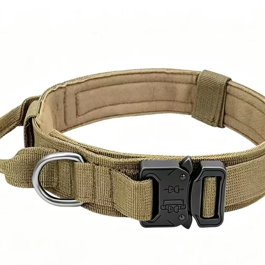 MBL TACTICAL DOG SET ? Collar + Correa