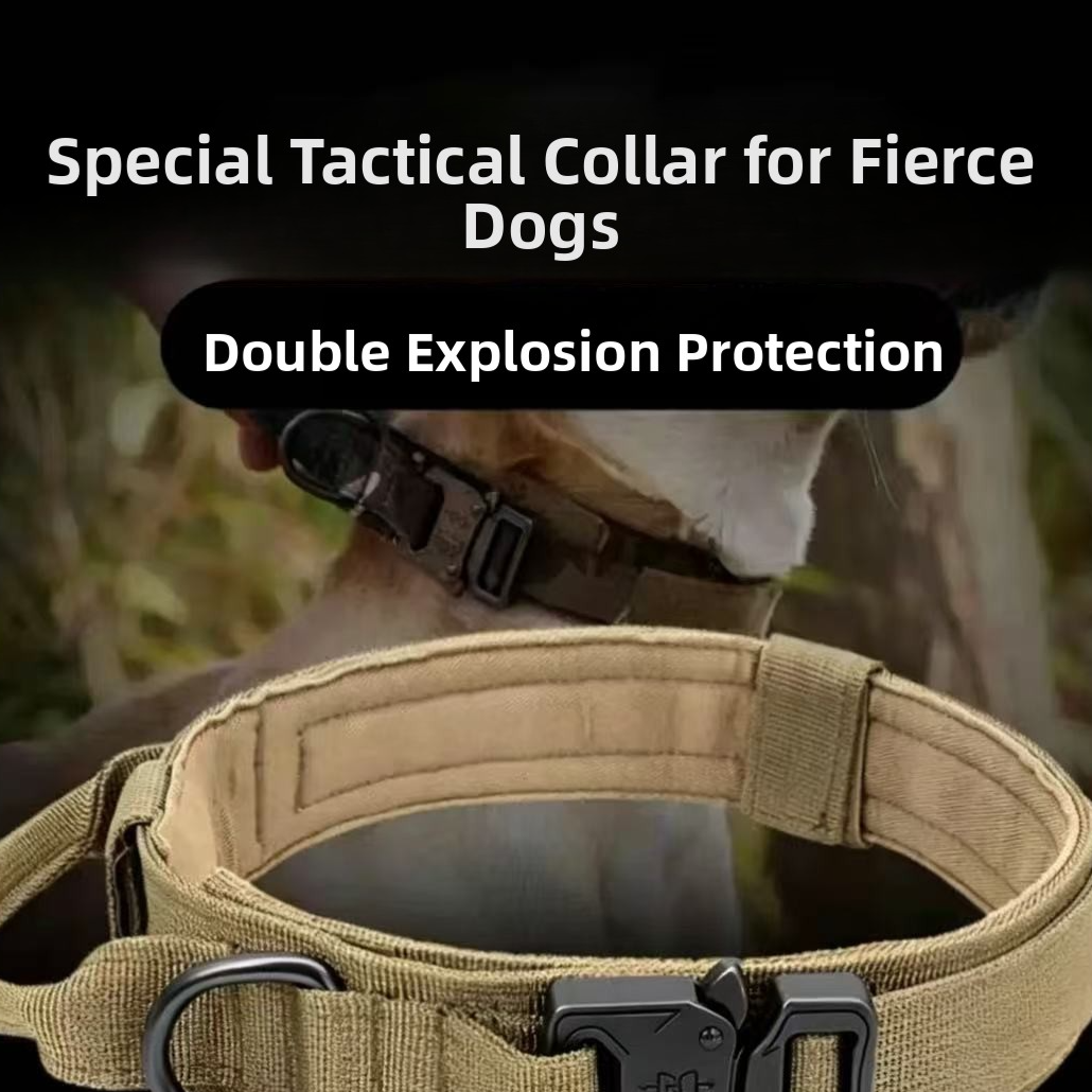 MBL TACTICAL DOG SET ? Collar + Correa